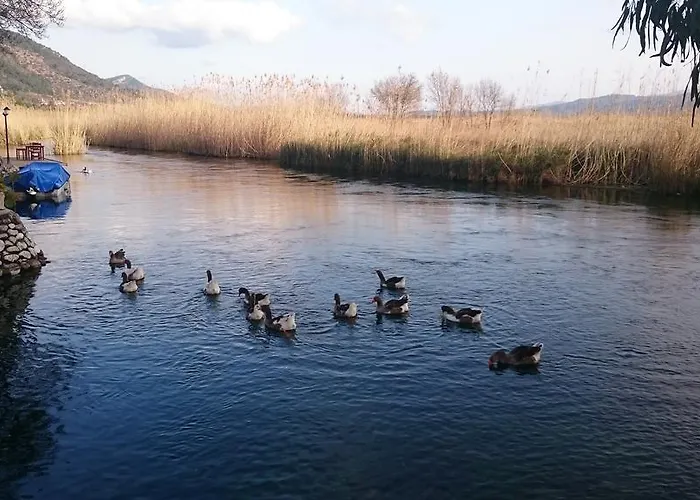 Tatil Apart شقة فندقية