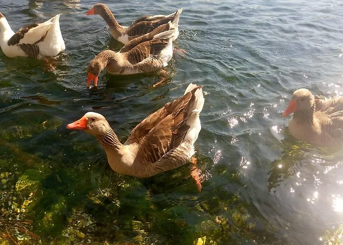 Tatil Apart Aparthotel Akyaka (Mugla)